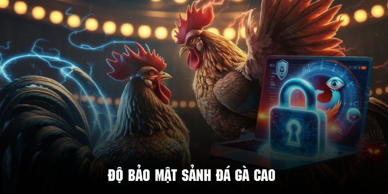 Độ bảo mật tại sảnh giải trí gà chọi luôn đảm bảo