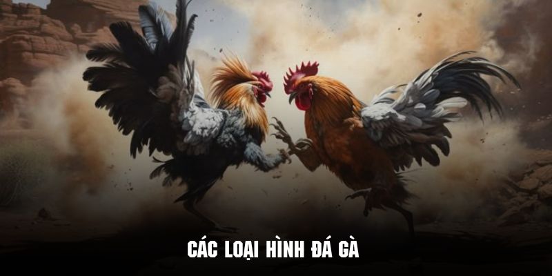 Những hình thức đá gà siêu cuốn hút khó tại J88