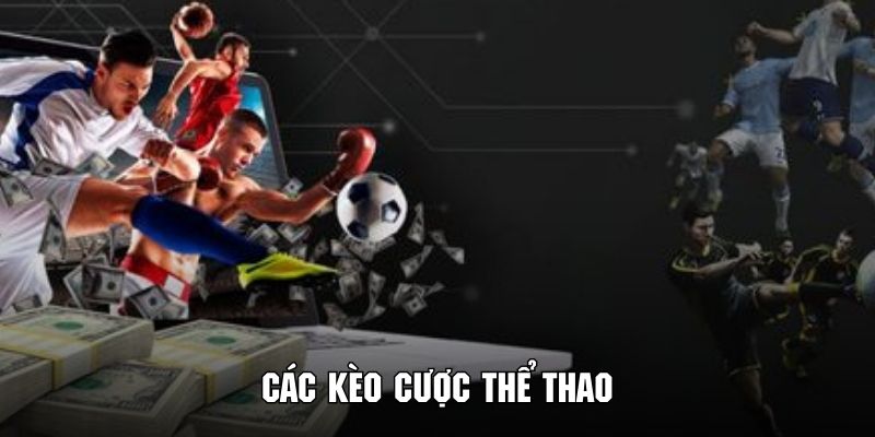 Tham gia đặt cược với nhiều loại kèo hấp dẫn từ các bộ môn giải trí
